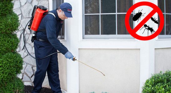 Görele Bit İlaçlama böcek ilaçlama ve haşere kontrolü — ilaclama-tr.com